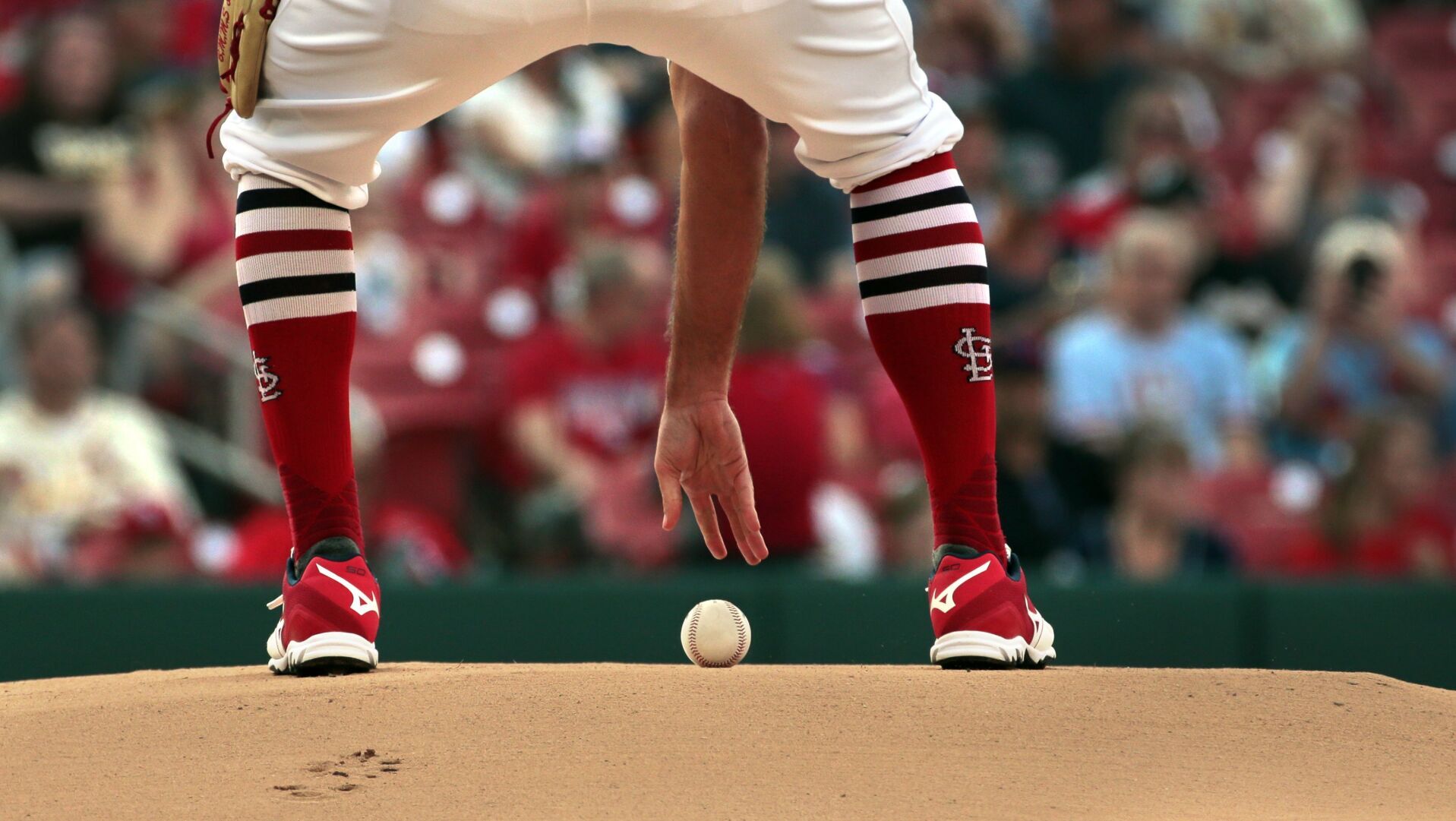 Cardinals, Padres at Busch